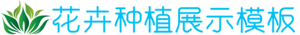 cmp冠军官方网登录入口,cmp冠军网页版